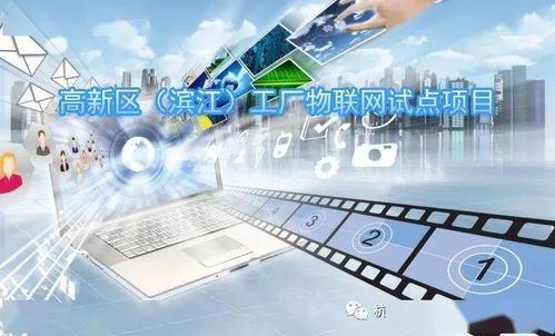 关于征集2021年度高新区滨江工厂物联网试点项目的通知